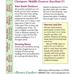 Renee's Garden Squash Summer Zucchini Mid-East Clarimore 5 Renee's Garden Squash Summer Zucchini Mid-East Clarimore -Flourish Seeds snv4234 back