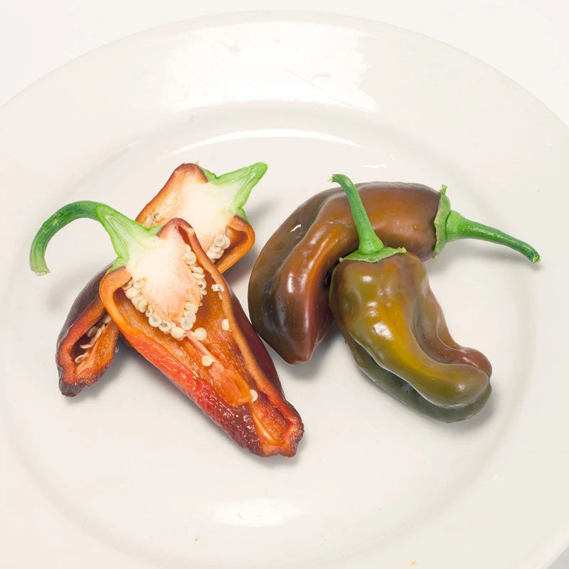 Chocolate Sweet Pepper Seeds (Organic) 2 Chocolate Sweet Pepper Seeds (Organic) - Image 2