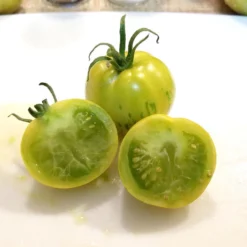 Green Zebra Tomato Seeds (Organic) 9 Green Zebra Tomato Seeds (Organic) -Flourish Seeds snv8173 web2