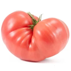 Prudens Purple Tomato Seeds (Organic) -Flourish Seeds snv8193 2 1