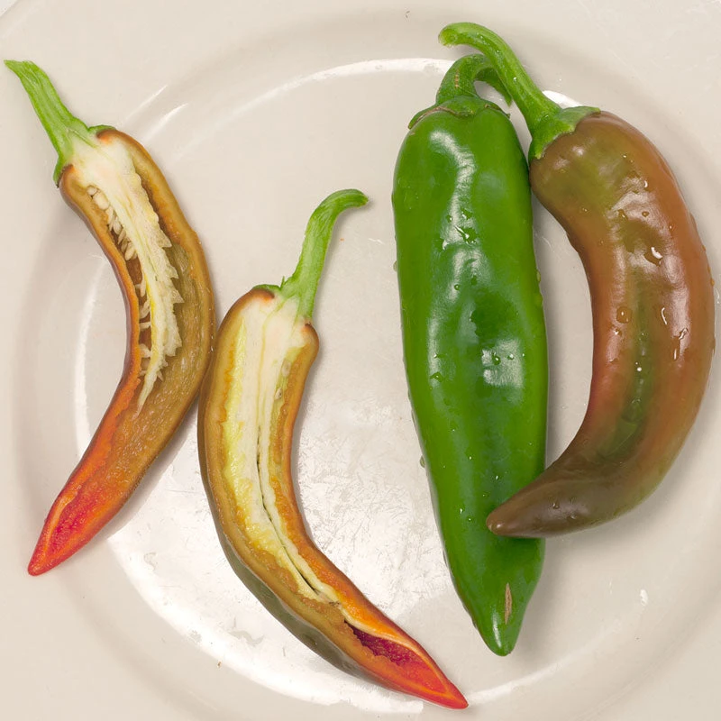 Anaheim Pepper Seeds (Organic) 2 Anaheim Pepper Seeds (Organic) - Image 2