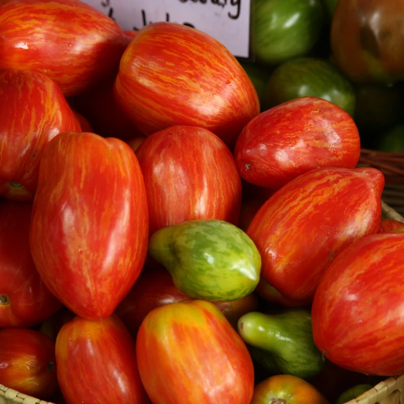 Paste Speckled Roman Tomato Seeds (Organic) 2 Paste Speckled Roman Tomato Seeds (Organic) - Image 2