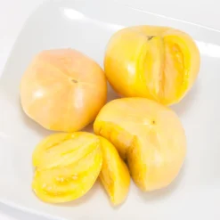 Flourish Seeds -Flourish Seeds white wonder 5 edit